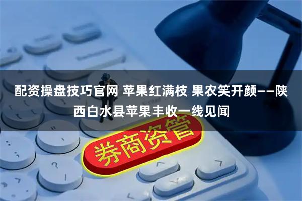 配资操盘技巧官网 苹果红满枝 果农笑开颜——陕西白水县苹果丰收一线见闻